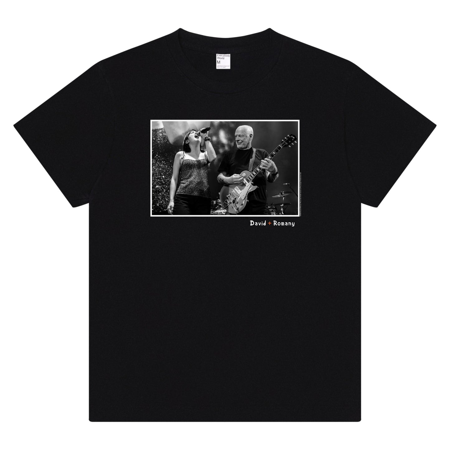 David and Romany in Concert T-Shirt (Choice of Blank)