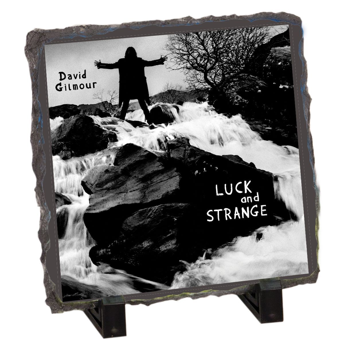 Luck and Strange Cover Photo Slate