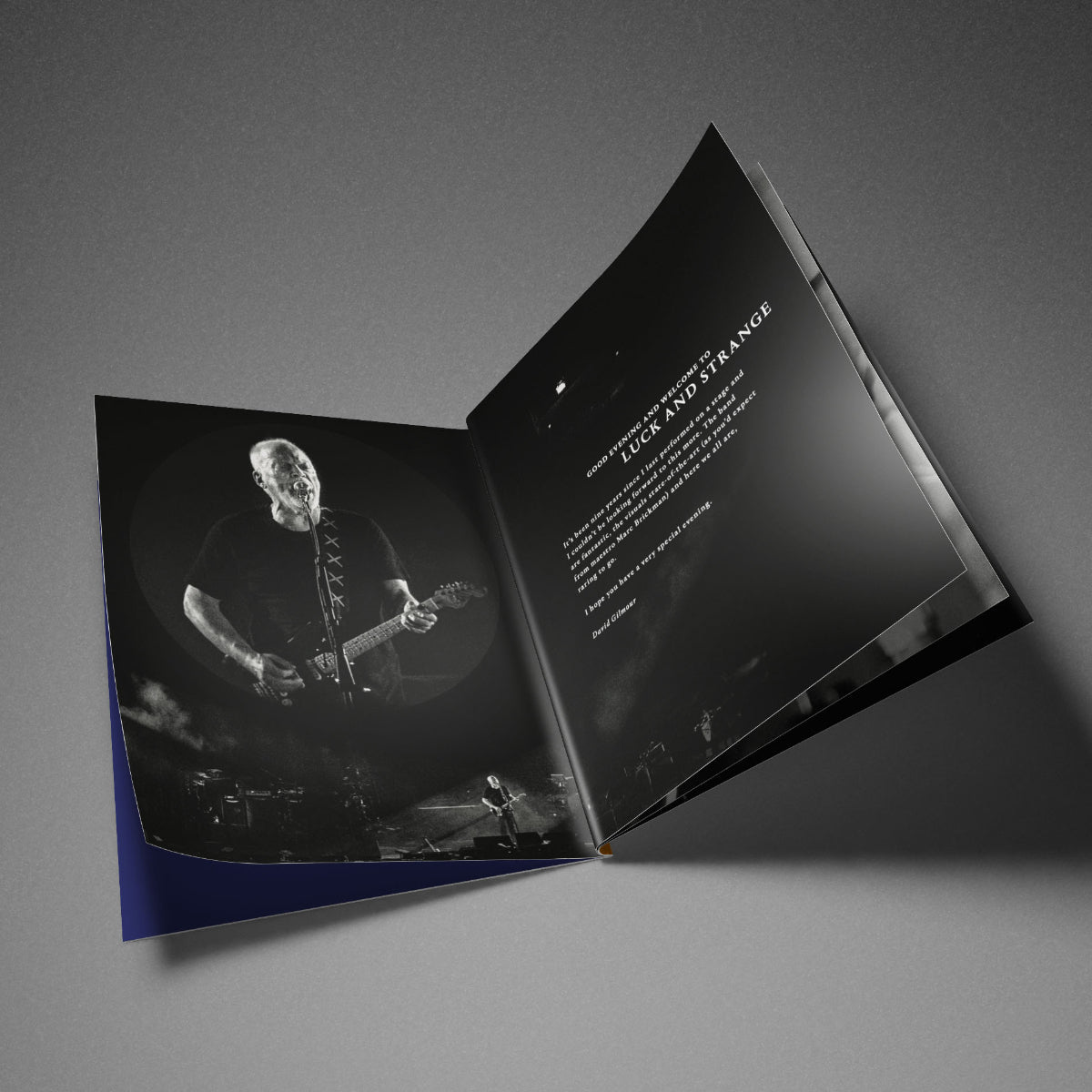 Luck and Strange 2024 Tour Program