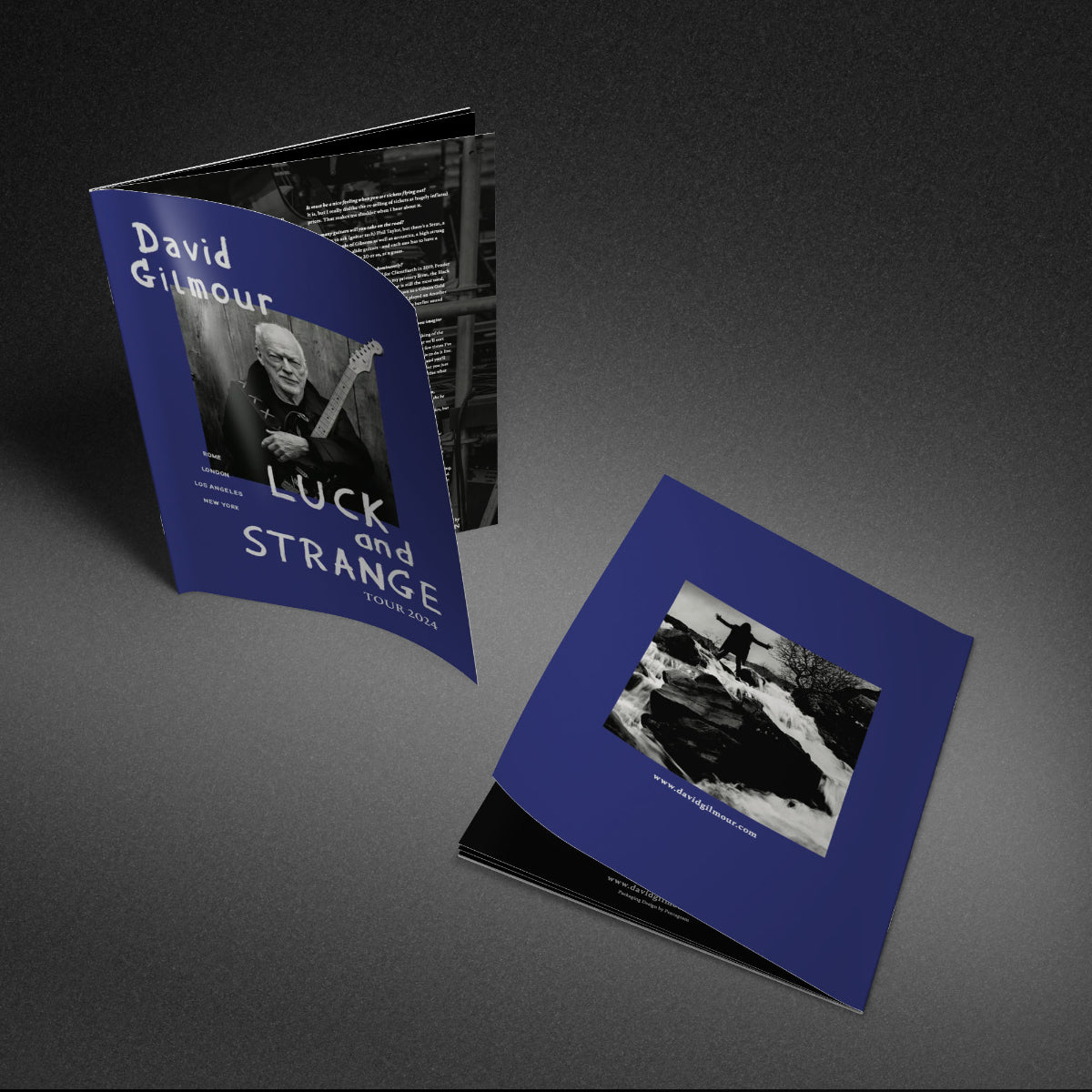Luck and Strange 2024 Tour Program