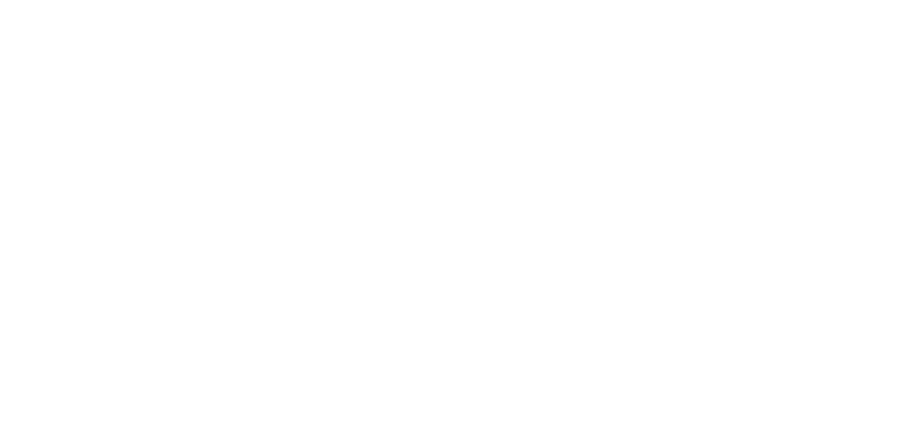 David Gilmour logo