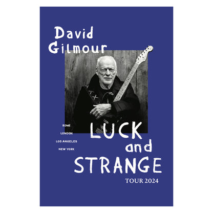 Luck and Strange Tour Poster