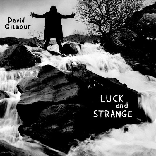David Gilmour Luck and Strange CD