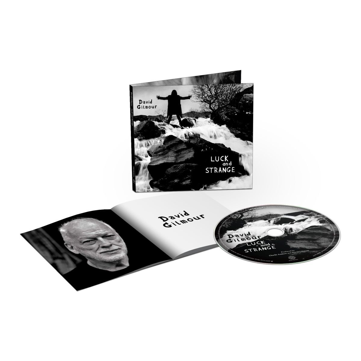 David Gilmour Luck and Strange CD