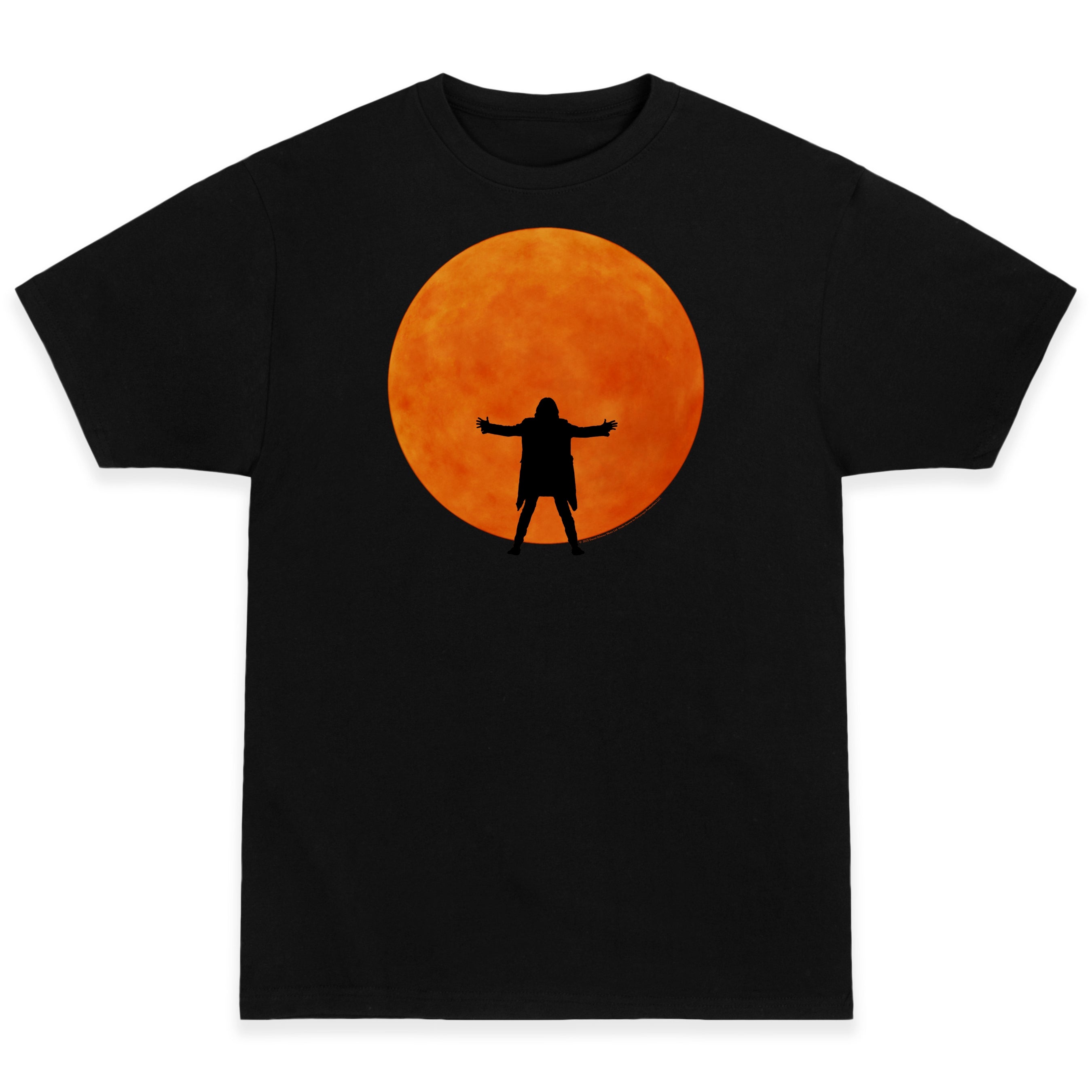 New – David Gilmour