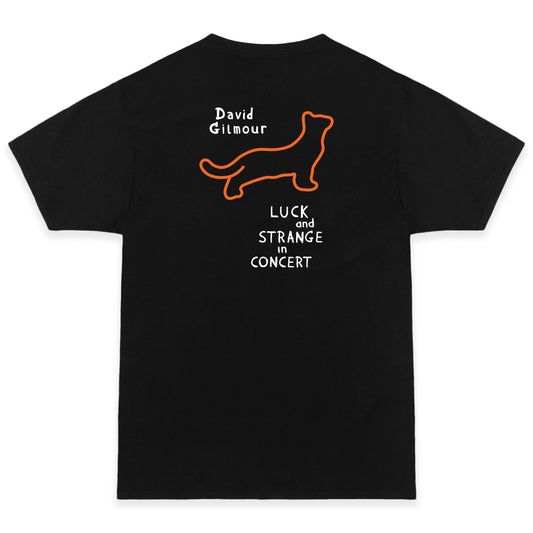 David and Romany in Concert T-Shirt (Choice of Blank)