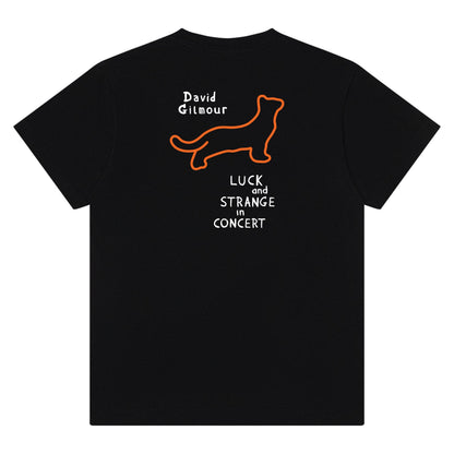 David and Romany in Concert T-Shirt (Choice of Blank)