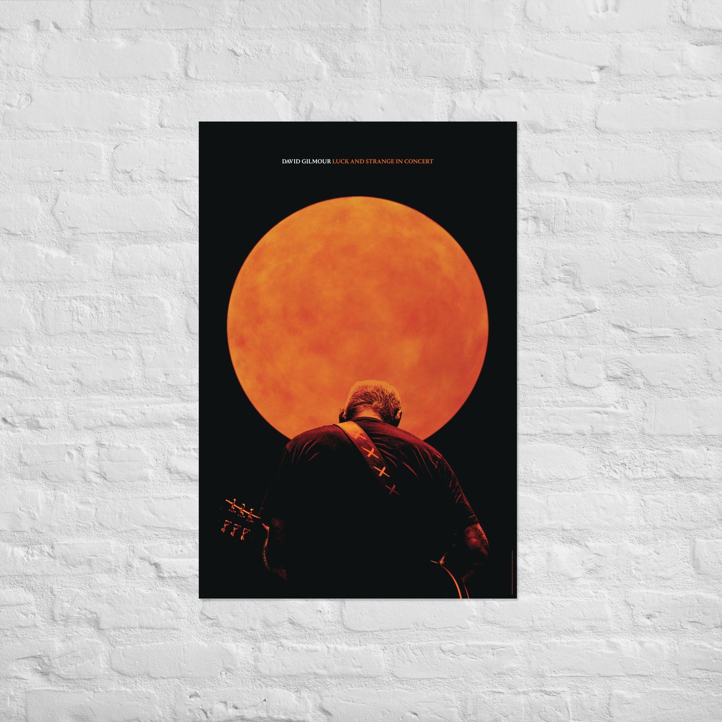 Luck and Strange in Concert Photo Poster