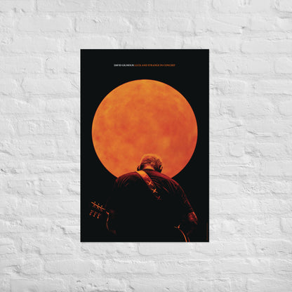 Luck and Strange in Concert Photo Poster